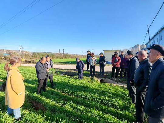 圖示, 示意圖 中度可信度描述已自動(dòng)生成:ver1