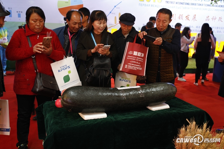 組圖:逛會忙!農(nóng)高會首日稀奇農(nóng)特產(chǎn)品引人關(guān)注