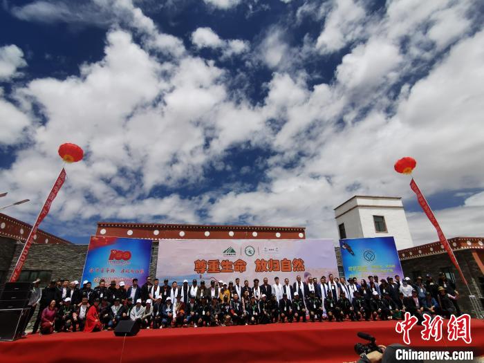 圖為“尊重生命,放歸自然”藏羚羊放歸大自然主題活動現(xiàn)場?!∮来?攝 圖為“尊重生命,放歸自然”藏羚羊放歸大自然主題活動現(xiàn)場?!∮来?攝