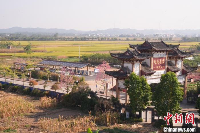 廣西賓陽(yáng)縣首個(gè)風(fēng)光儲(chǔ)一體綜合能源站位于古辣鎮(zhèn)古辣社區(qū)。陳伯鑫 攝