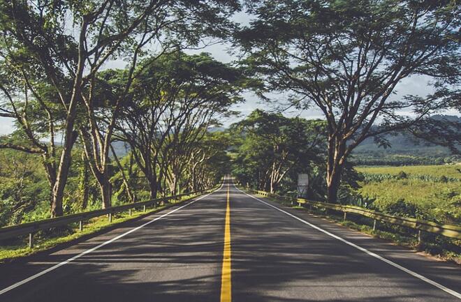 持續(xù)推動四好農(nóng)村路高質(zhì)量發(fā)展