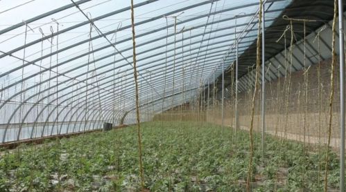 微信圖片_20230413104254