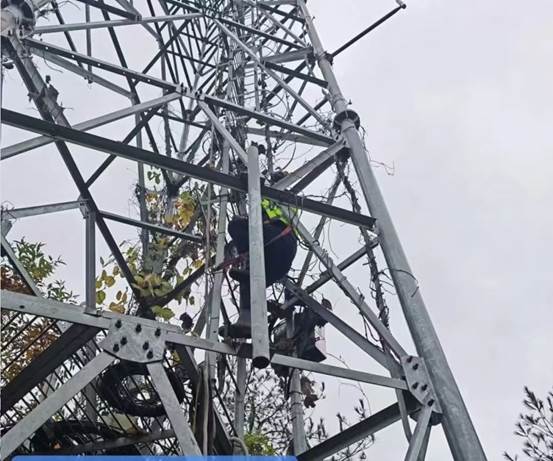 84027d43b25e9c3e7263b2bf293a3cc