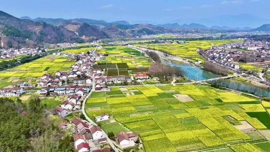 ebbe806b336d614a1c74294940bd724