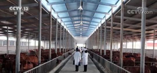 點(diǎn)擊進(jìn)入下一頁(yè)