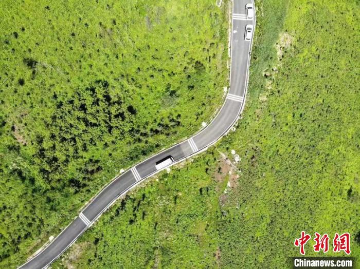 達(dá)州市宣漢巴山大峽谷蜿蜒的山路與茂密的樹林互相印襯?!埨?攝 達(dá)州市宣漢巴山大峽谷蜿蜒的山路與茂密的樹林互相印襯。 張浪 攝