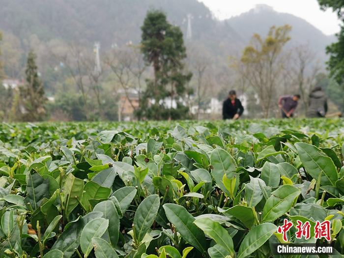 點擊進入下一頁