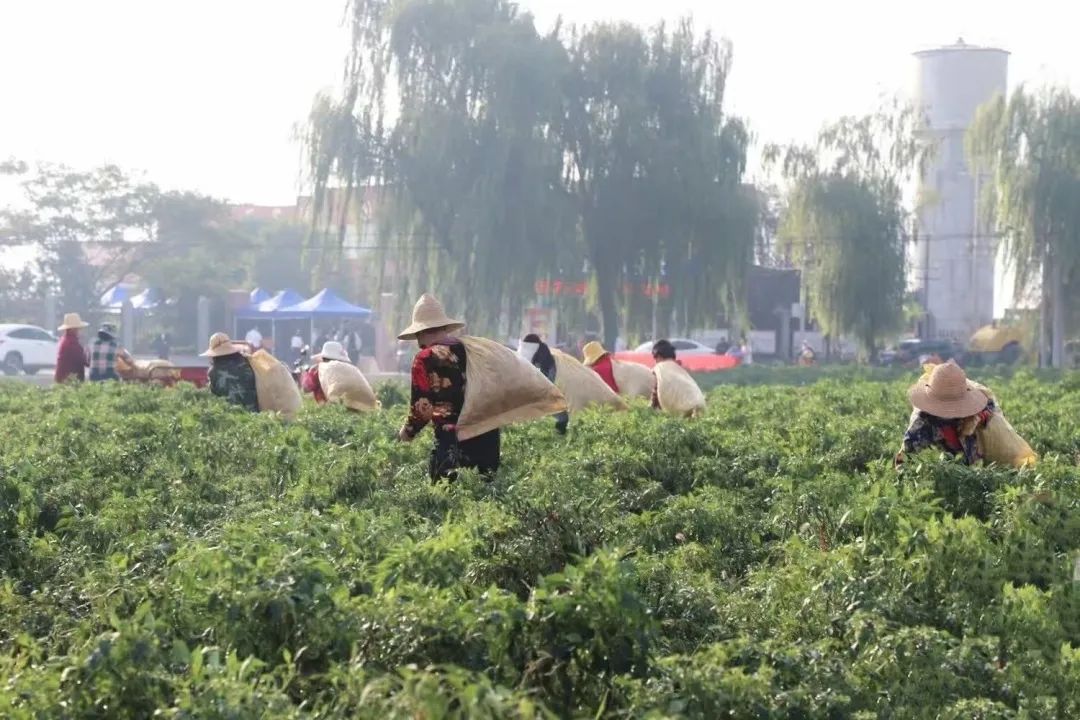 0fa96dbfaca817de428290bd72277716.jpeg 圖片