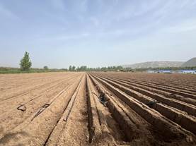 54a17023a59235bff57290fec78e6ca