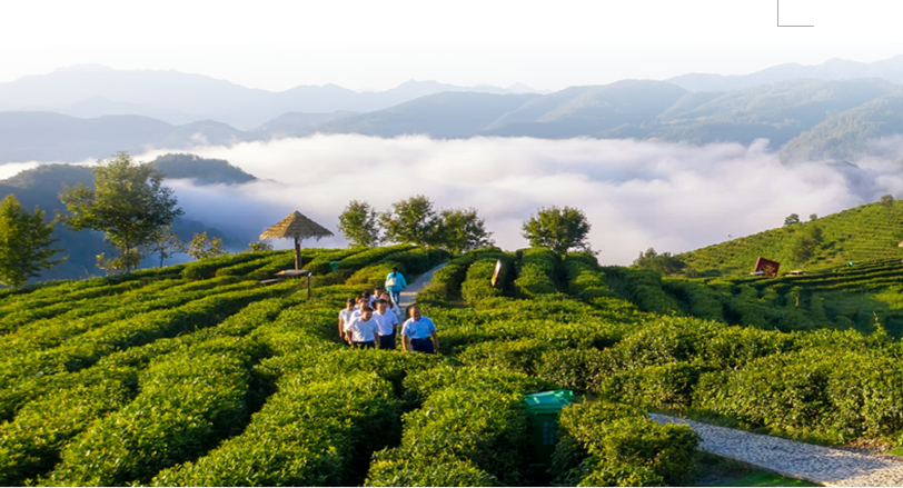 jxWM1qOOwVU5h04d.png image.png