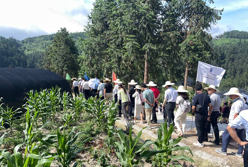 調(diào)研現(xiàn)場。郭鑫燚攝 調(diào)研現(xiàn)場。郭鑫燚攝