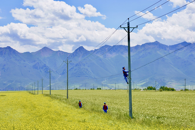 國網(wǎng)海北供電公司工作人員巡視配電線路保障油菜種植供電可靠。徐琛攝 國網(wǎng)海北供電公司工作人員巡視配電線路保障油菜種植供電可靠。徐琛攝