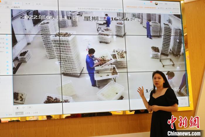 廣西富鵬農(nóng)牧有限公司總經(jīng)理李婉靜介紹該企業(yè)情況?！￡惽锵?攝