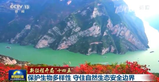 點擊進入下一頁