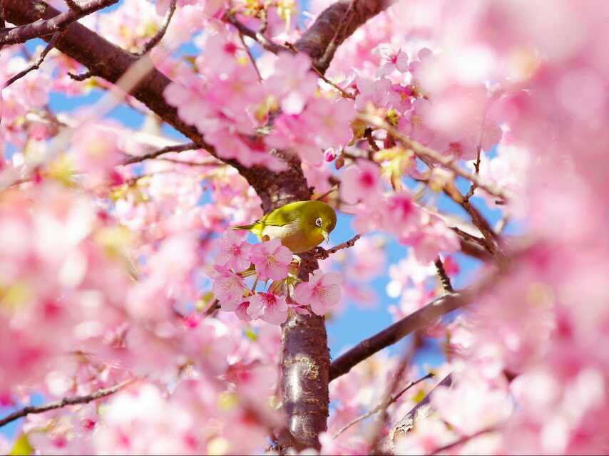 ST20150327302141072646.jpg ST20150327302141072646.jpg