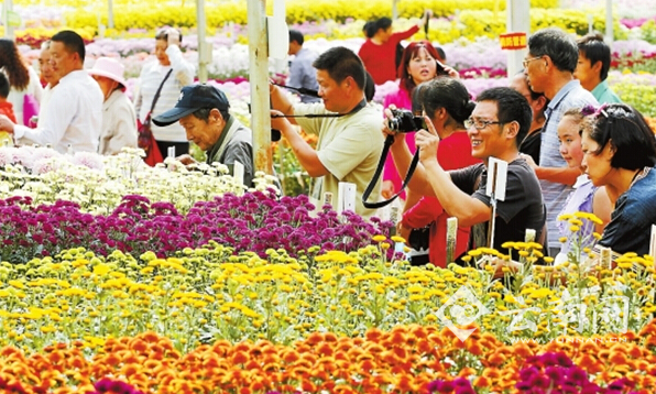 云南高原特色農(nóng)業(yè)穩(wěn)健邁向全國(guó)