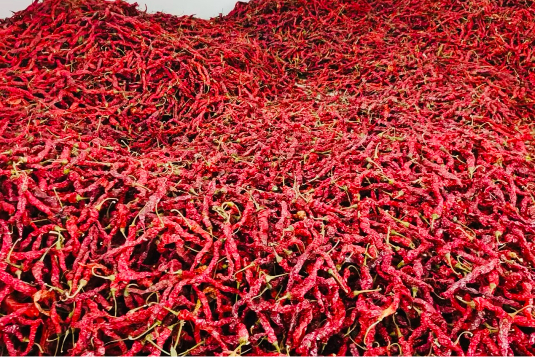 11196563591cut_img.png 圖片