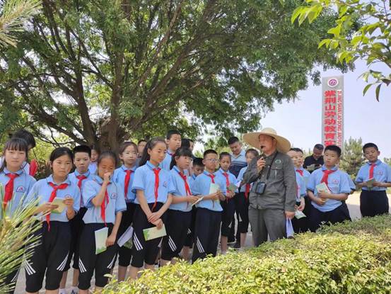 62264be10a54e0723d5aa0676d400c0