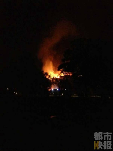 經(jīng)過(guò)記者查詢相關(guān)資料后,初步確定著火的這棟仿古建筑名為棲鳳閣,它曾在2010年在上海世博會(huì)代表陜西進(jìn)行過(guò)展出。