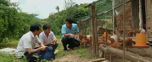 1590569311633732.jpeg 2.jpg