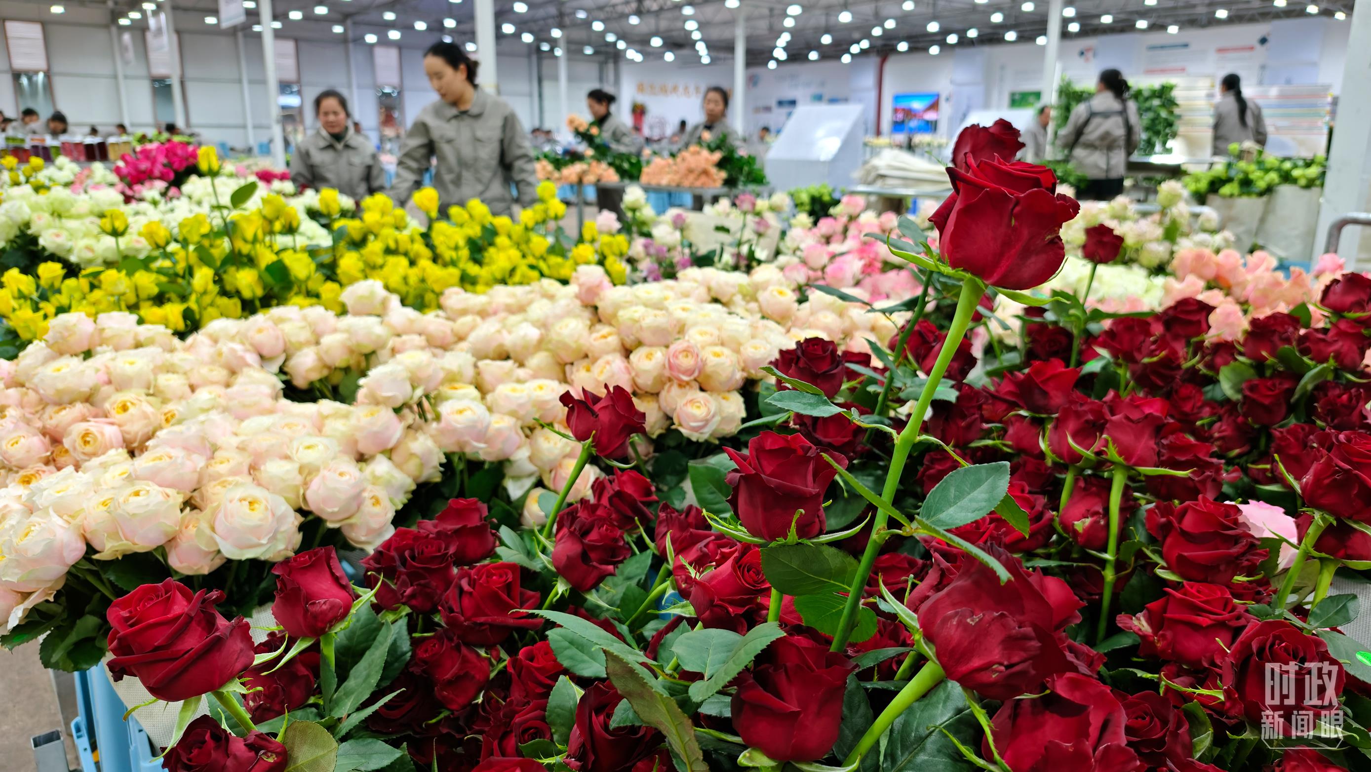 習(xí)近平赴云南麗江考察，關(guān)注這座名城的“古與今”