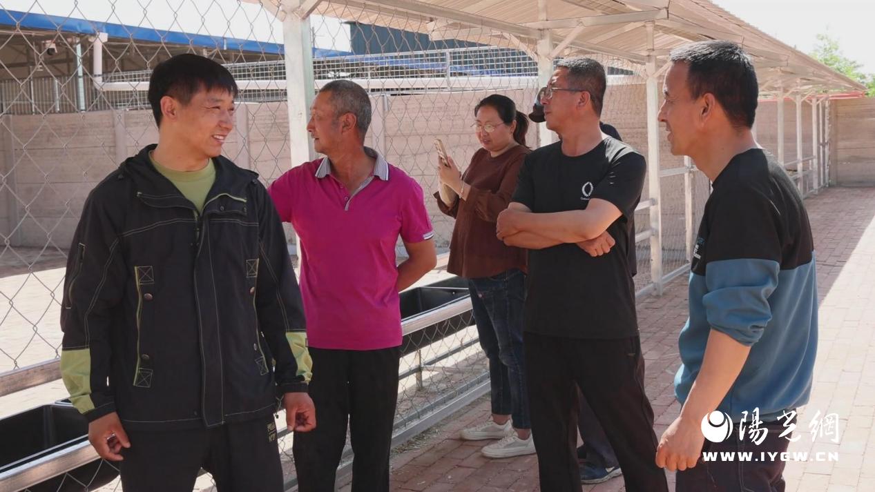 0311914c40e7089780ba1c55ee1fcff0 0311914c40e7089780ba1c55ee1fcff0