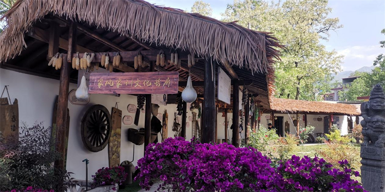 【致敬長安最美基層工作者】西安市長安區(qū)四皓村黨支部書記駱小愛:帶領“婆家人”走在鄉(xiāng)村振興的康莊大道上_fororder_圖片3