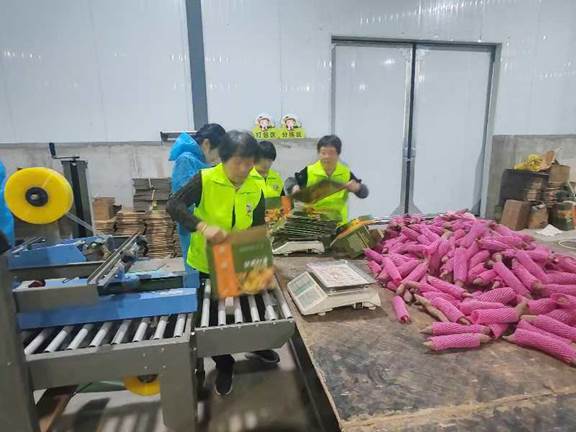 圖示, 示意圖 中度可信度描述已自動生成:ver1