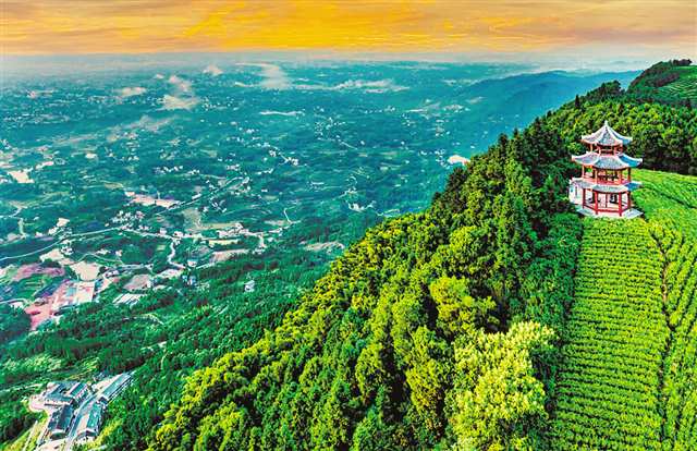 榮昌區(qū)古佛山景區(qū)。受訪者供圖