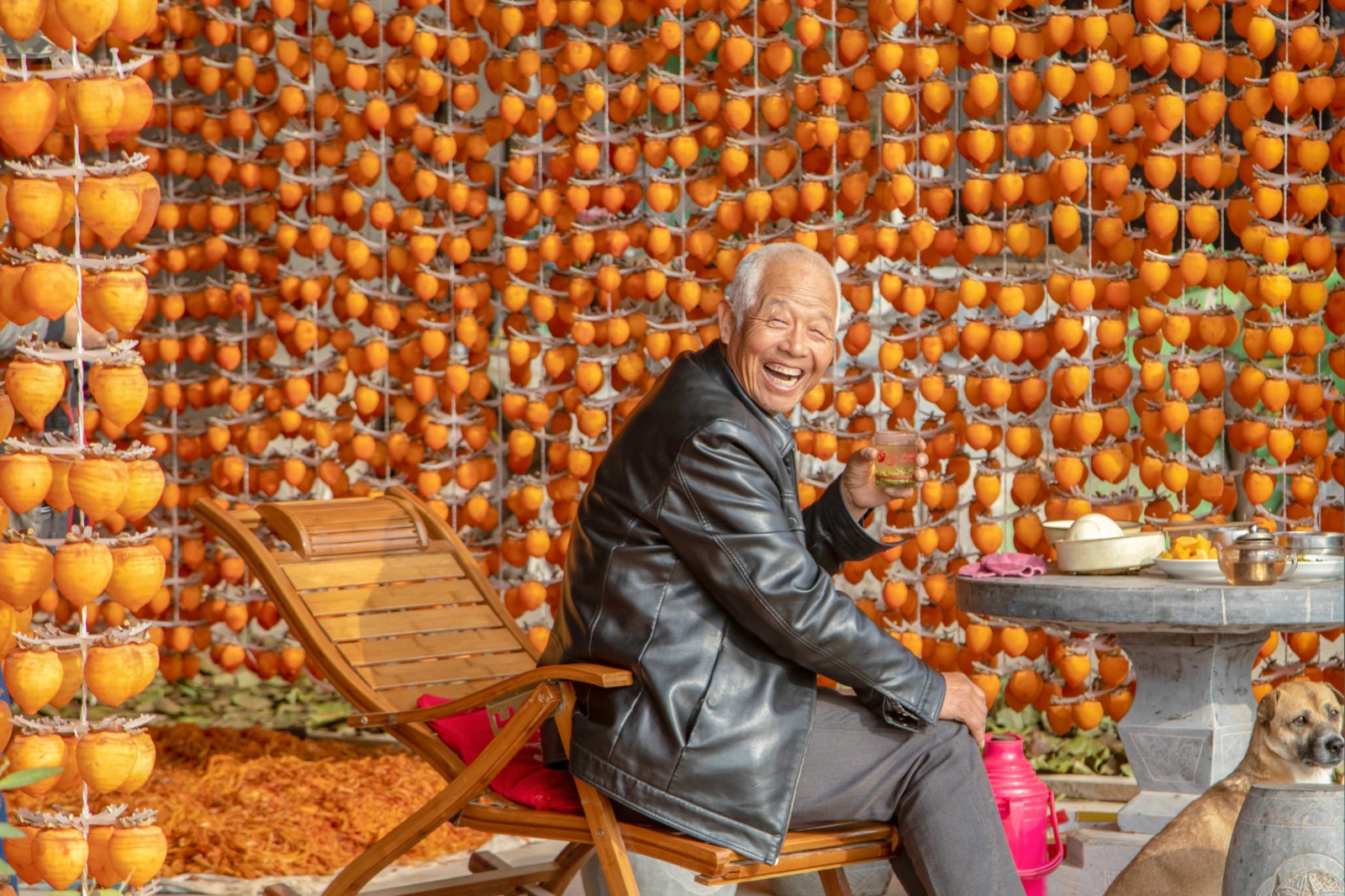 微信圖片_20221216104619.jpg 微信圖片_20221216104619.jpg