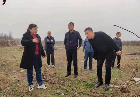 935d9924cad20939d61d977a45b3b8e