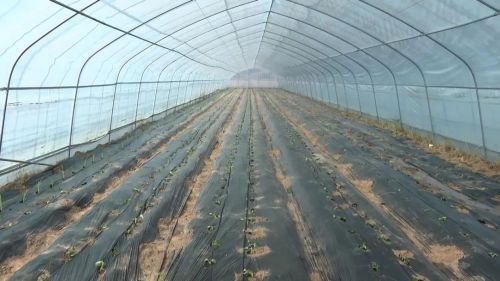 微信圖片_20230413104555