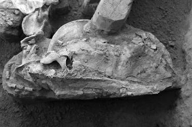 屏幕快照 2015-01-21 上午10.27.55.png