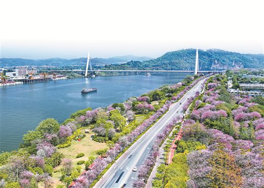 百里柳江穿城而過(guò),沿岸風(fēng)光旖旎。 柳州市生態(tài)環(huán)境局供圖