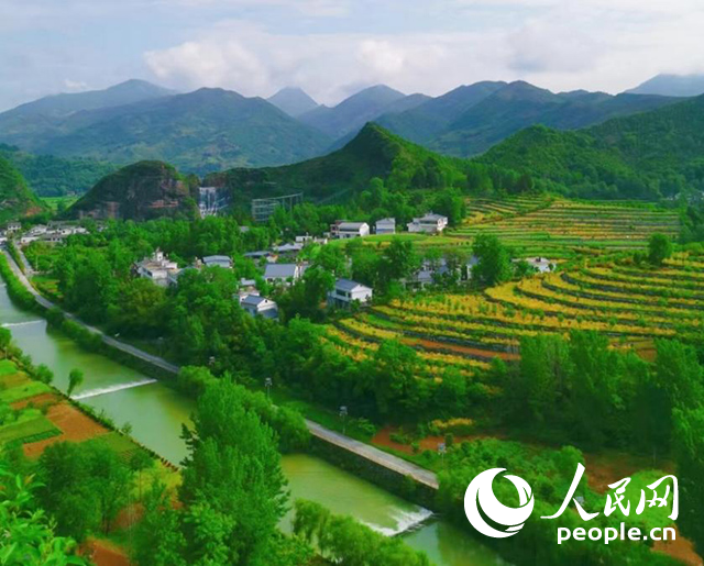 陜西商洛漫川關(guān)鎮(zhèn)民宿群。人民網(wǎng) 王麗攝