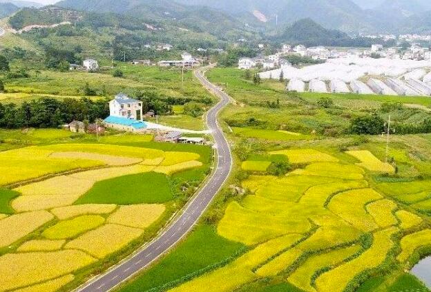 持續(xù)深化農(nóng)村改革激發(fā)鄉(xiāng)村振興動力活力