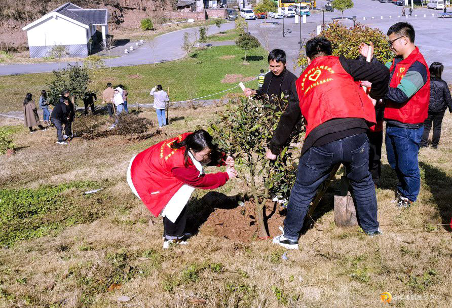 2月18日，習(xí)水縣植樹(shù)活動(dòng)。