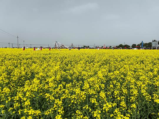 圖示, 示意圖 中度可信度描述已自動(dòng)生成:ver1