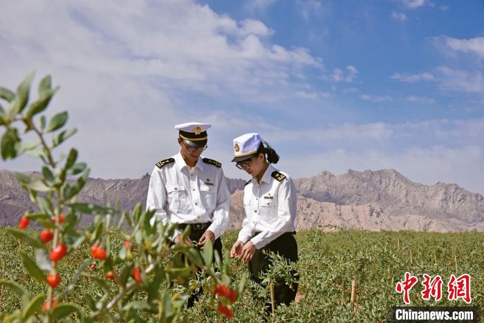 西寧海關(guān)出臺新政助力青海省融入“一帶一路”建設(shè)