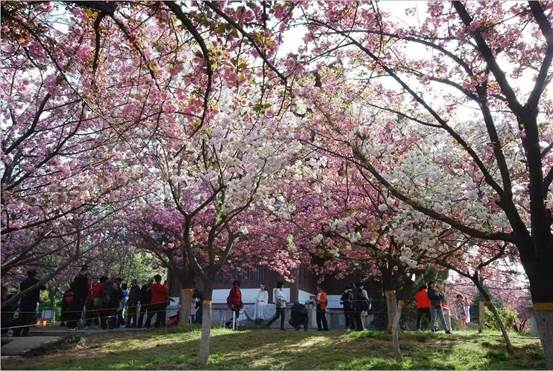 6b35fd40f315398873ac605dc3ae0f9