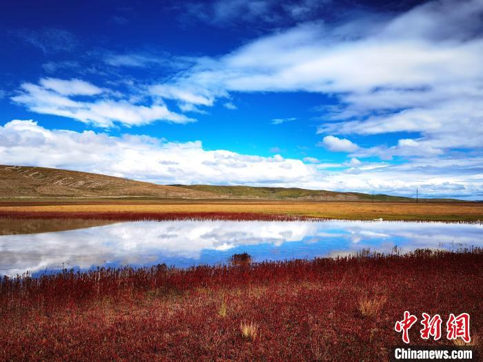 圖為黃河源頭瑪多秋景。(資料圖) 瑪多縣委宣傳部 供圖 圖為黃河源頭瑪多秋景。(資料圖) 瑪多縣委宣傳部 供圖
