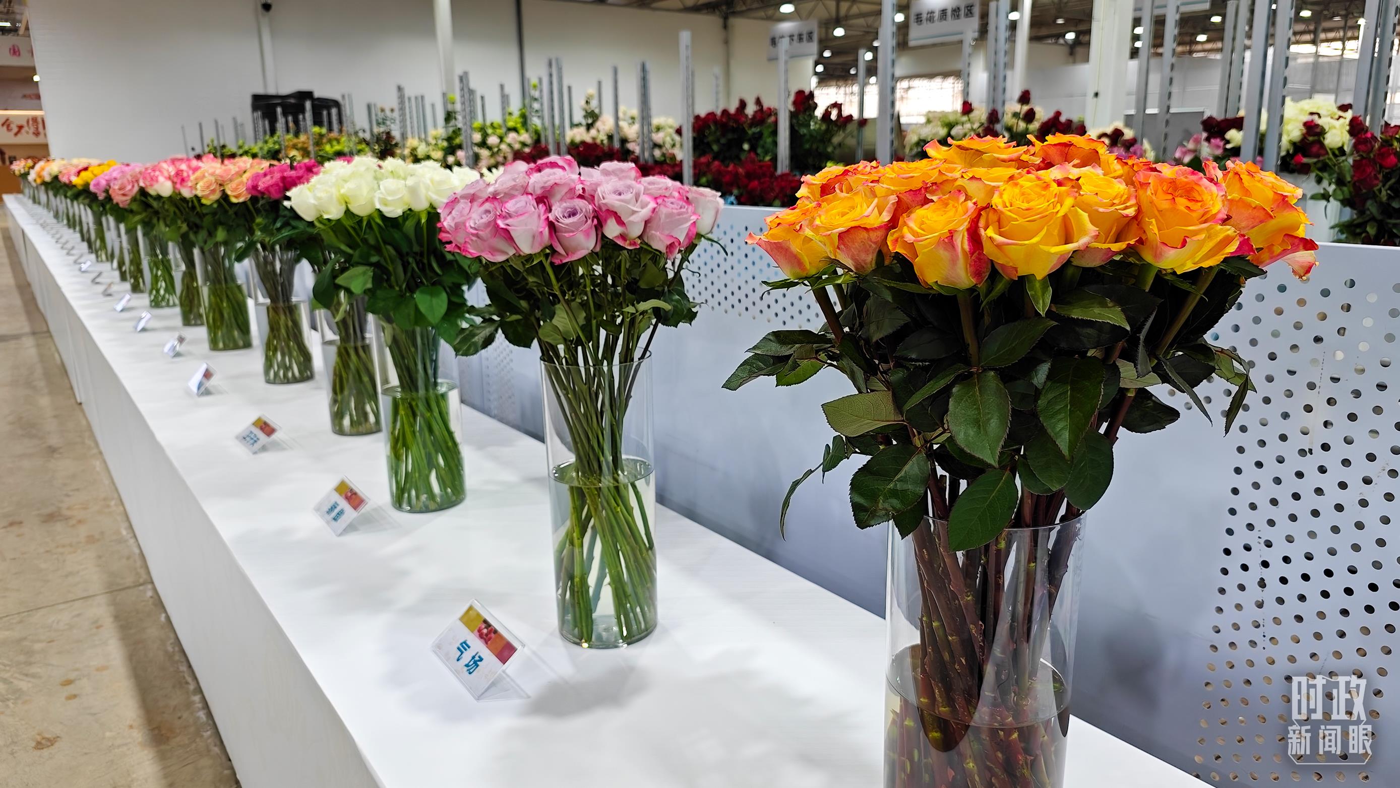 習(xí)近平赴云南麗江考察，關(guān)注這座名城的“古與今”