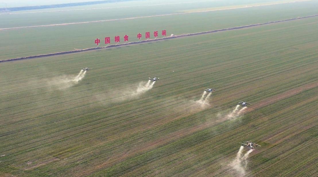 大荔縣糧食綠色高產高效行動項目萬畝示范區(qū)內,新型農用機械穿梭其中。劉亦塵攝