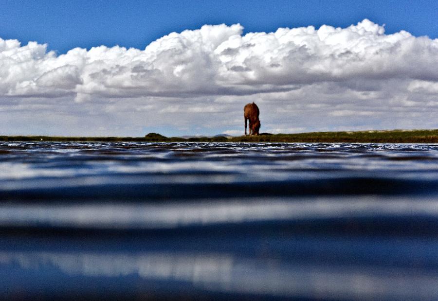 走進(jìn)西藏羌塘自然保護(hù)區(qū) 走進(jìn)西藏羌塘自然保護(hù)區(qū)