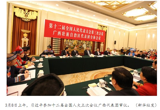 習(xí)近平在廣西團(tuán)：扶貧少搞盆景多搞實事