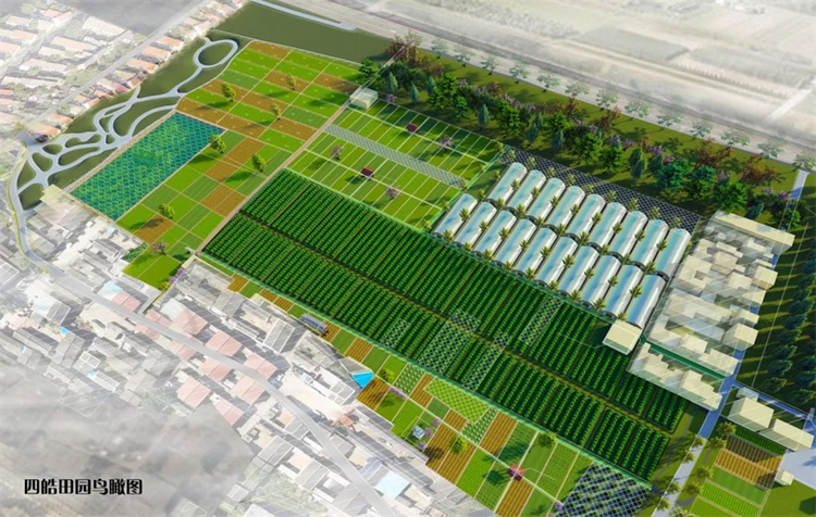 【致敬長安最美基層工作者】西安市長安區(qū)四皓村黨支部書記駱小愛:帶領“婆家人”走在鄉(xiāng)村振興的康莊大道上_fororder_圖片4