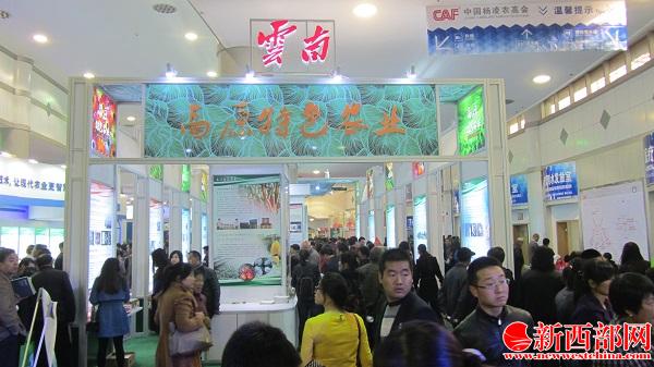 IMG_0641_看圖??jpg