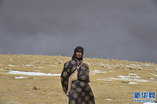 (新華全媒頭條·圖文互動)(8)跨越半個世紀的生命遷徙——西藏極高海拔生態(tài)搬遷破解人與自然共生難題