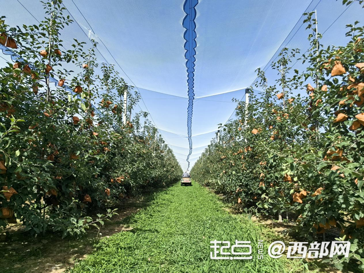 正在上傳... 92cdd5a8dfeb1d27292c2b397448cdea.png