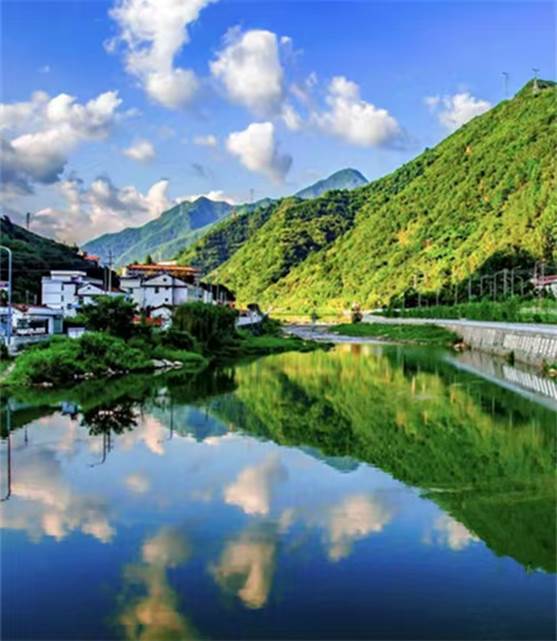 846b8495c7db1afafd675a7ebff11a8